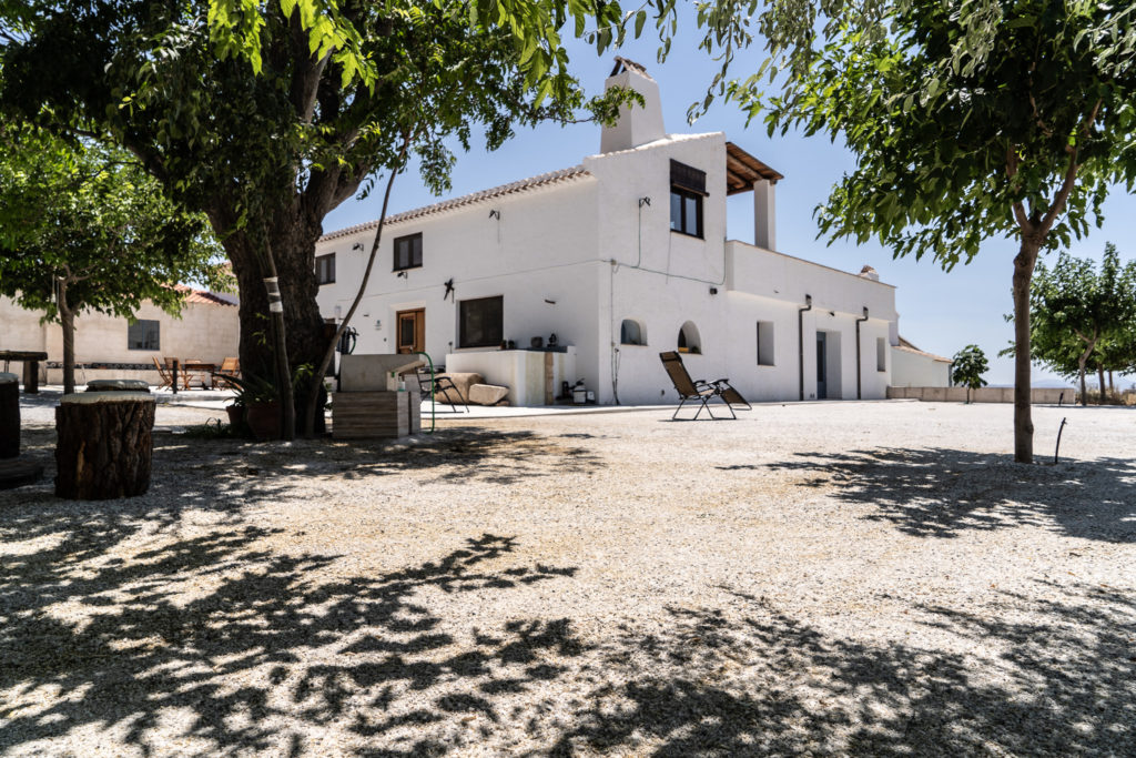 El Cortijo 14 El Cortijo 13