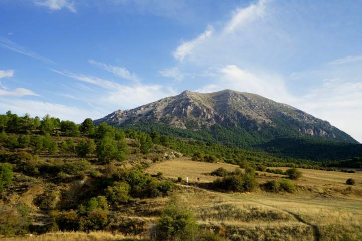 Surroundings 4